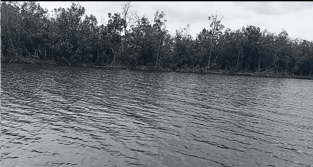 Escapade - Immersion en pleine nature à Igoumié